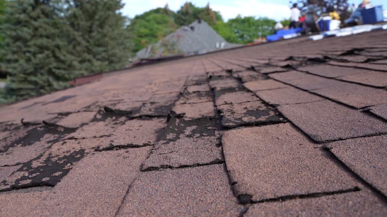 Best Rubber Roofing (EPDM, TPO)  in Minier, IL