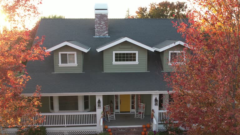 Best Chimney Flashing Repair  in Minier, IL
